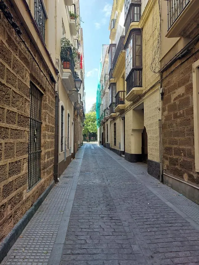 Apartamento ÁTICO GENERAL MENACHO  Cádiz